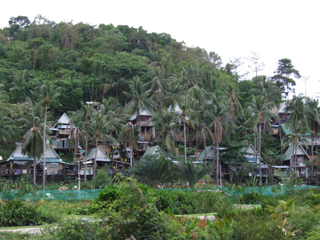 Phi Phi bydleni