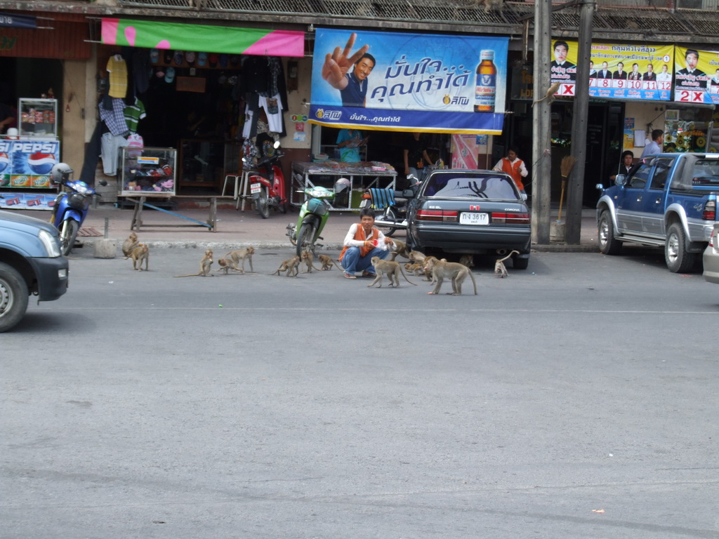 Lopburi nase foto