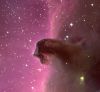 The_Horsehead_Nebula_(big).jpg